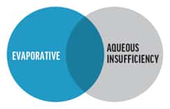 a venn diagram the left side says evaporative the right says Aqueous Insufficiency